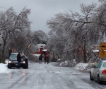 Ice Storm Downed Trees, Vaughan-1