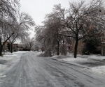 Ice Storm Downed Trees, Vaughan-38