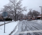 Ice Storm Downed Trees, Vaughan-56