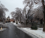 Ice Storm Downed Trees, Vaughan-81