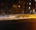 Ice Storm Downed Trees, Toronto-84