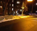 Ice Storm Downed Trees, Toronto-86