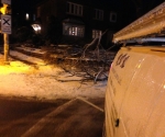 Ice Storm Downed Trees, Toronto-87